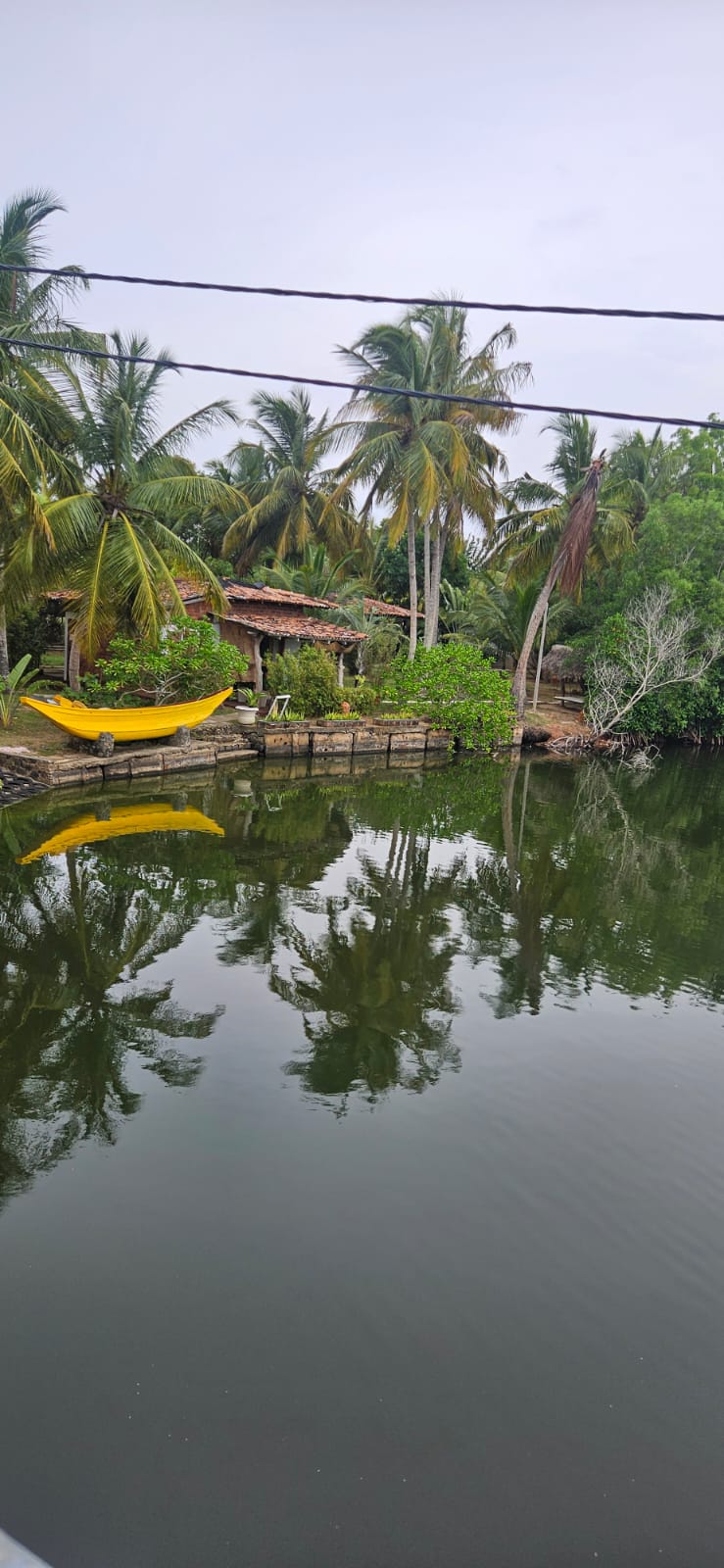 Yellow wooden boat resting beside the calm Tangalle lagoon under coconut palms